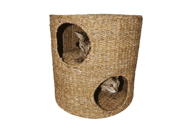 Seagrass Cat Basket With Iron Frame