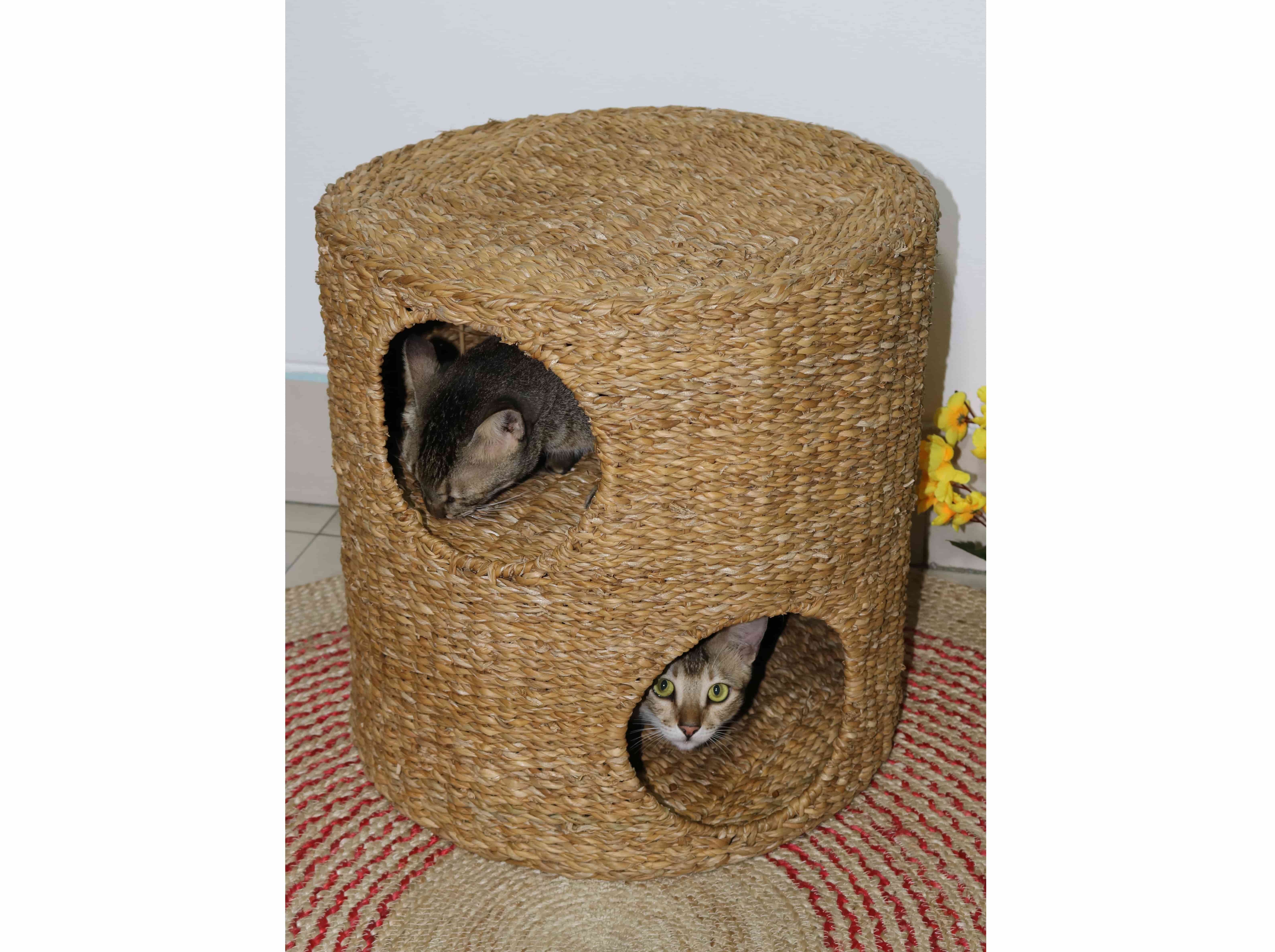 Seagrass Cat Basket With Iron Frame