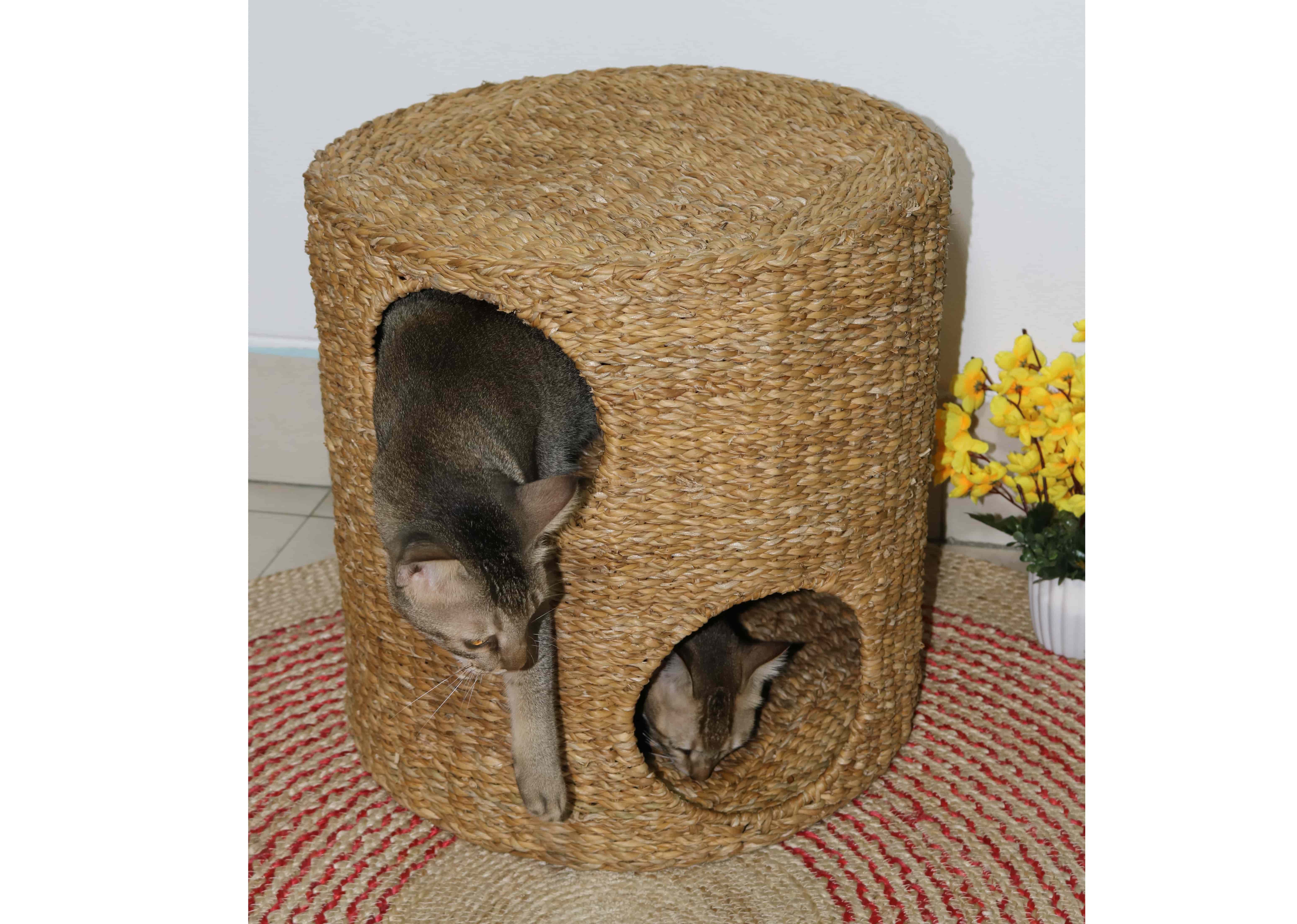 Seagrass Cat Basket With Iron Frame